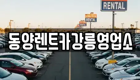 강원 강릉시 죽헌동 렌트카 전문 동양렌트카강릉영업소