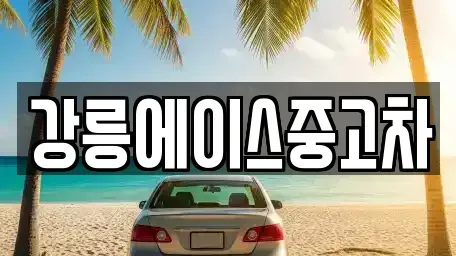 강원 강릉시 죽헌동 중고차 전문 강릉에이스중고차