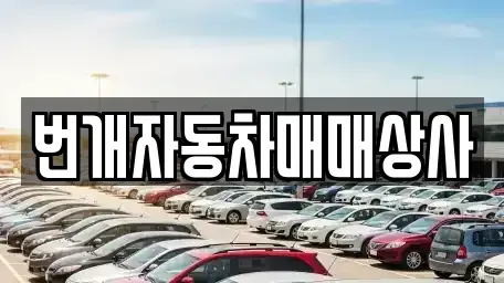 강원 강릉시 죽헌동 중고차 전문 번개자동차매매상사