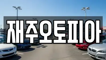 강원 강릉시 죽헌동 중고차 전문 재주오토피아