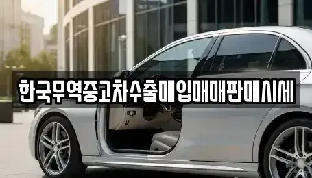 강원 강릉시 죽헌동 중고차매입 전문 한국무역중고차수출매입매매판매시세