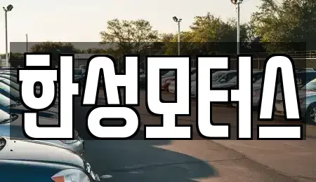 강원 속초시 청호동 중고차 전문 한성모터스