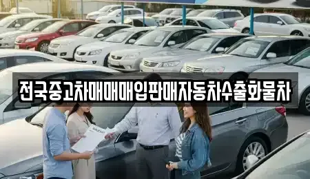 강원 속초시 청호동 중고차매입 전문 전국중고차매매매입판매자동차수출화물차