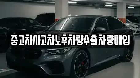 강원 속초시 청호동 중고차매입 전문 중고차사고차노후차량수출차량매입