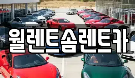 강원 원주시 가현동 렌트카 전문 월렌트솜렌트카