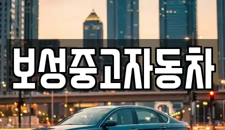 강원 원주시 가현동 중고차 전문 보성중고자동차