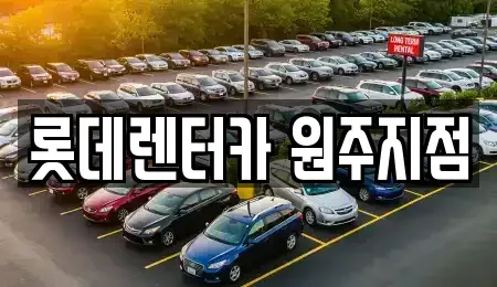 강원 원주시 무실동 장기렌트카 전문 롯데렌터카 원주지점