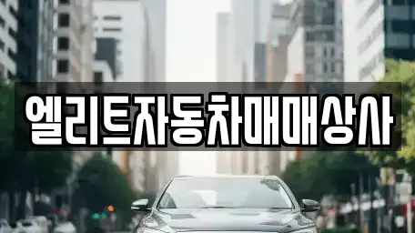 강원 원주시 무실동 중고차 전문 엘리트자동차매매상사