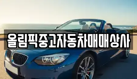 강원 원주시 무실동 중고차 전문 올림픽중고자동차매매상사