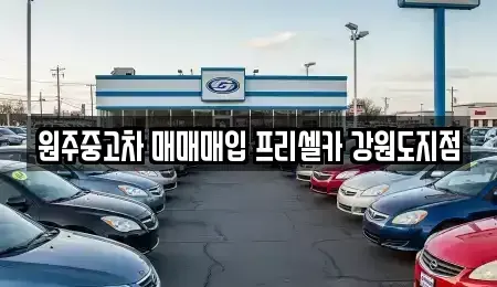 강원 원주시 무실동 중고차 전문 원주중고차 매매매입 프리셀카 강원도지점