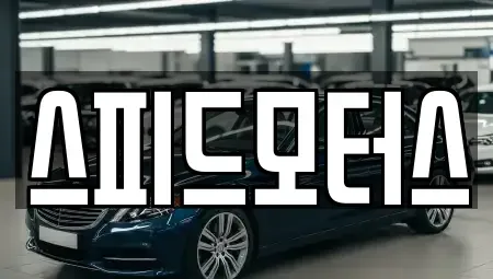 강원 원주시 중고차 전문 스피드모터스