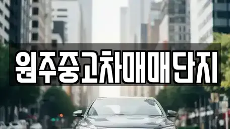 강원 원주시 중고차 전문 원주중고차매매단지