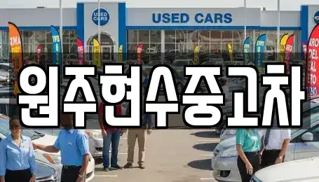 강원 원주시 중고차매매 전문 원주현수중고차