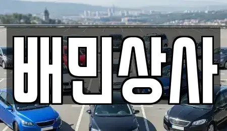 강원특별자치도 강릉시 송정동 중고차 전문 배민상사