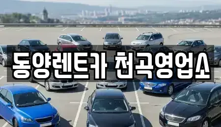 강원특별자치도 동해시 송정동 렌트카 전문 동양렌트카 천곡영업소