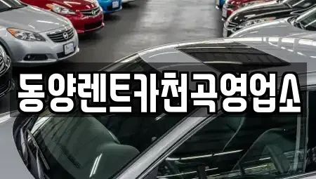 강원특별자치도 동해시 송정동 렌트카 전문 동양렌트카천곡영업소