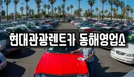 강원특별자치도 동해시 송정동 장기렌트카 전문 현대관광렌트카 동해영업소