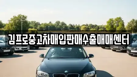 강원특별자치도 동해시 송정동 중고차 전문 김프로중고차매입판매수출매매센터