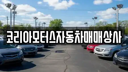 강원특별자치도 동해시 송정동 중고차 전문 코리아모터스자동차매매상사