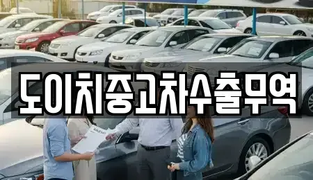 강원특별자치도 삼척시 평전동 중고차 전문 도이치중고차수출무역