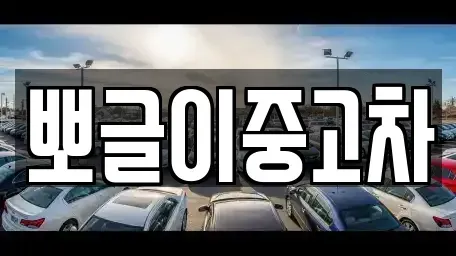 강원특별자치도 삼척시 평전동 중고차 전문 뽀글이중고차