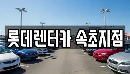 강원특별자치도 속초시 금호동 장기렌트카 전문 롯데렌터카 속초지점
