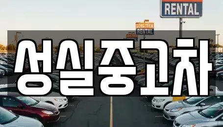강원특별자치도 속초시 금호동 중고차 전문 성실중고차