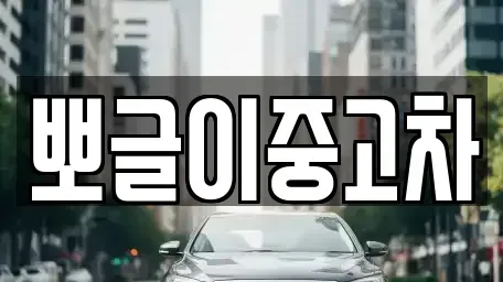 강원특별자치도 속초시 금호동 중고차매매 전문 뽀글이중고차
