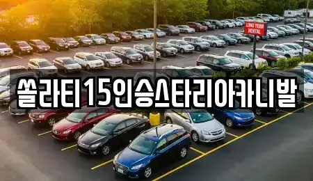 강원특별자치도 원주시 태장동 렌트카 전문 쏠라티15인승스타리아카니발