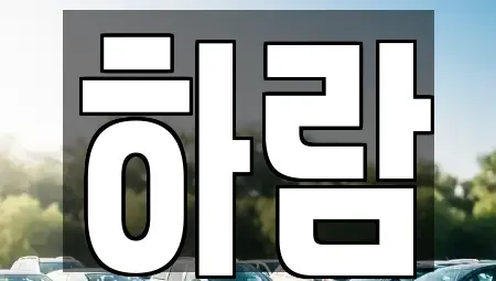 강원특별자치도 원주시 태장동 장기렌트카 전문 하람