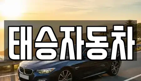 강원특별자치도 원주시 태장동 중고차 전문 태승자동차