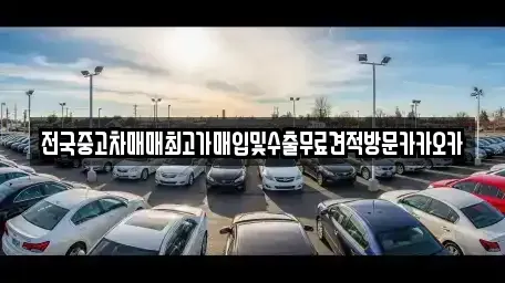 강원특별자치도 원주시 태장동 중고차매입 전문 전국중고차매매최고가매입및수출무료견적방문카카오카