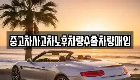 강원특별자치도 원주시 태장동 중고차매입 전문 중고차사고차노후차량수출차량매입