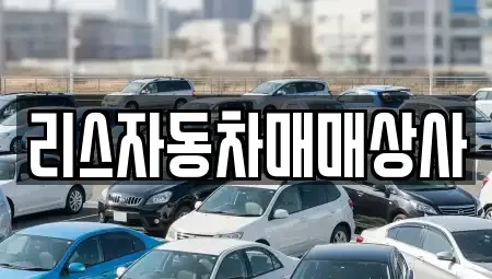 강원특별자치도 원주시 흥업면 중고차 전문 리스자동차매매상사