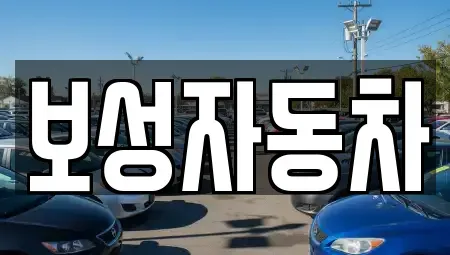 강원특별자치도 원주시 흥업면 중고차 전문 보성자동차