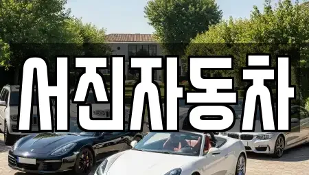 강원특별자치도 원주시 흥업면 중고차 전문 서진자동차