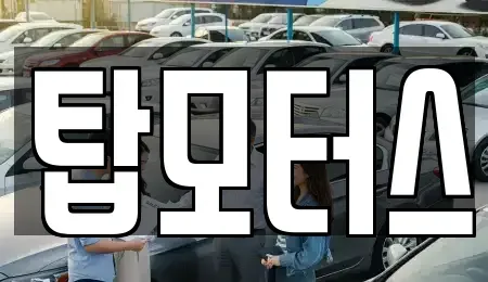 강원특별자치도 원주시 흥업면 중고차 전문 탑모터스