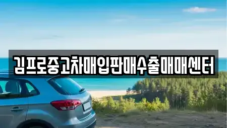강원특별자치도 원주시 흥업면 중고차매입 전문 김프로중고차매입판매수출매매센터