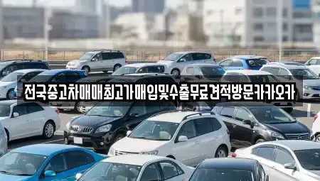 강원특별자치도 원주시 흥업면 중고차매입 전문 전국중고차매매최고가매입및수출무료견적방문카카오카