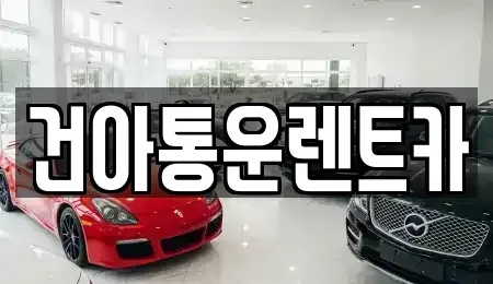 강원특별자치도 정선군 사북읍 렌트카 전문 건아통운렌트카