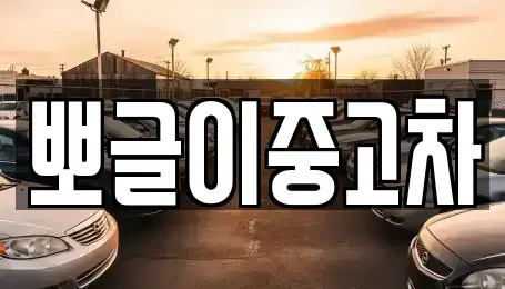 강원특별자치도 정선군 사북읍 중고차매매 전문 뽀글이중고차