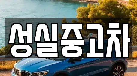 강원특별자치도 태백시 문곡동 중고차 전문 성실중고차