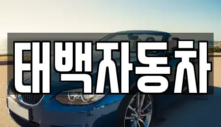 강원특별자치도 태백시 문곡동 중고차 전문 태백자동차