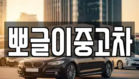 강원특별자치도 태백시 문곡동 중고차매매 전문 뽀글이중고차