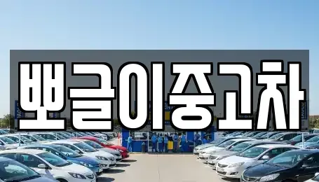 강원특별자치도 태백시 하사미동 중고차 전문 뽀글이중고차