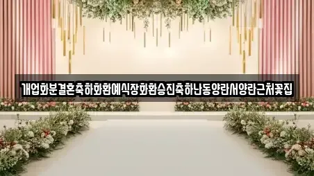 개업화분결혼축하화환예식장화환승진축하난동양란서양란근처꽃집