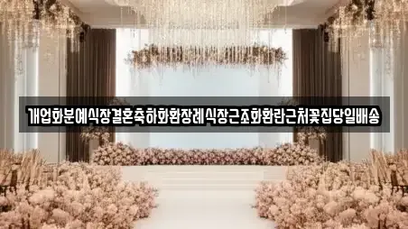 개업화분예식장결혼축하화환장례식장근조화환란근처꽃집당일배송