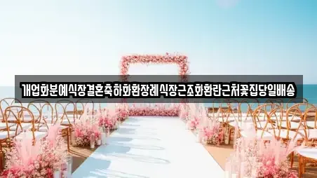 중구 무수동 가까운 웨딩드레스 2곳 알아보기