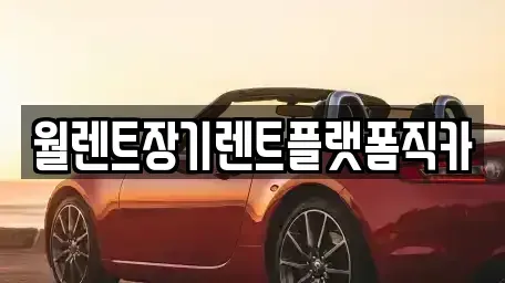 경기 가평군 상면 렌트카 전문 월렌트장기렌트플랫폼직카