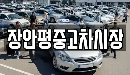 경기 가평군 상면 중고차 전문 장안평중고차시장